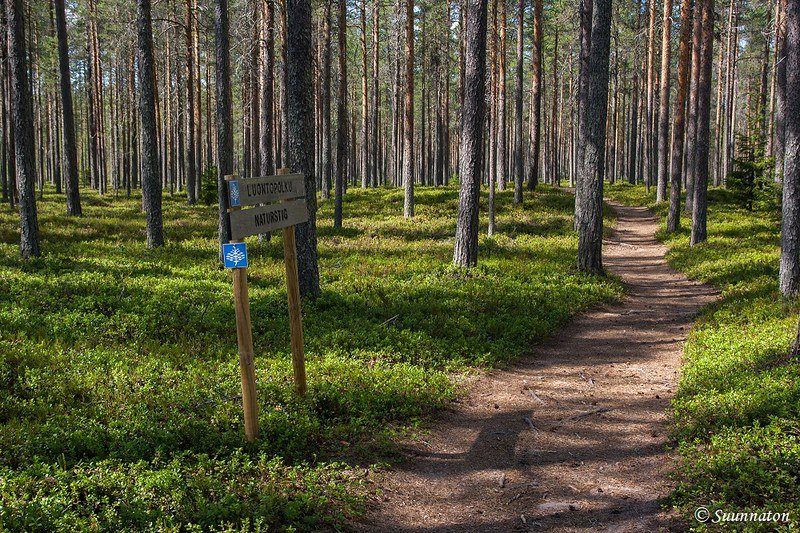 Kokkolan matkakohteet, Laajalahti | Matkablogi Suunnaton