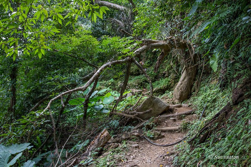 Taiwan, Taroko, Dali (7)