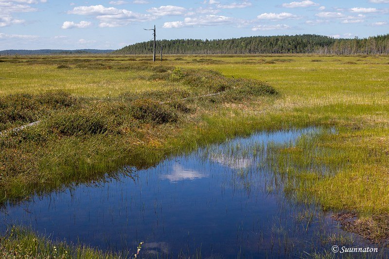 Patvinsuo, suolämpäre
