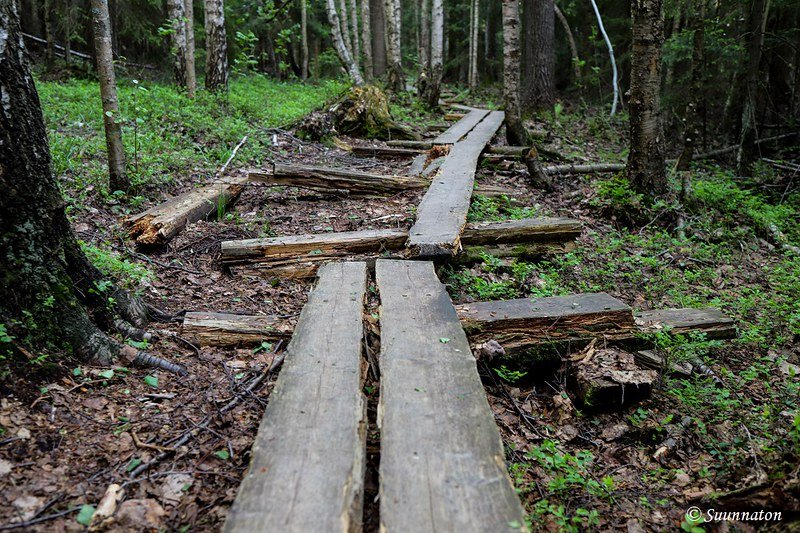 Torronsuon kansallispuisto, pitkospuut