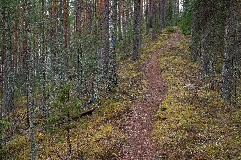 Hämeen retkikohteet