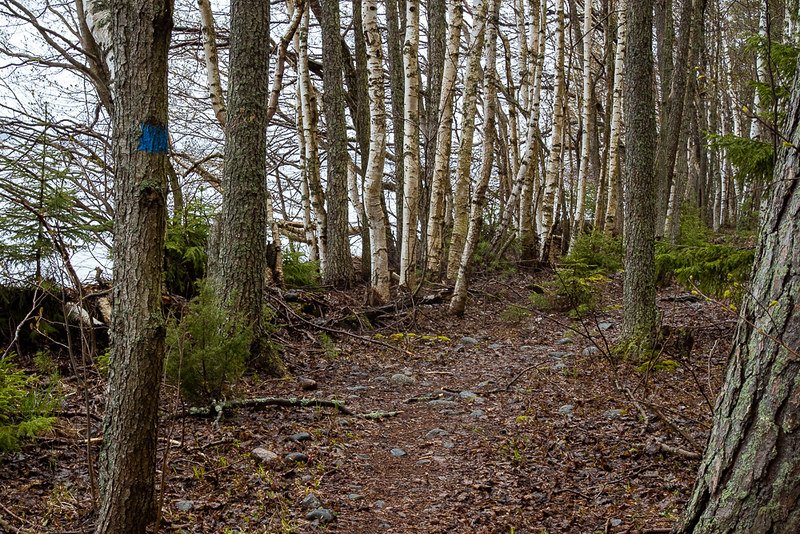 Päijänteen kansallispuisto