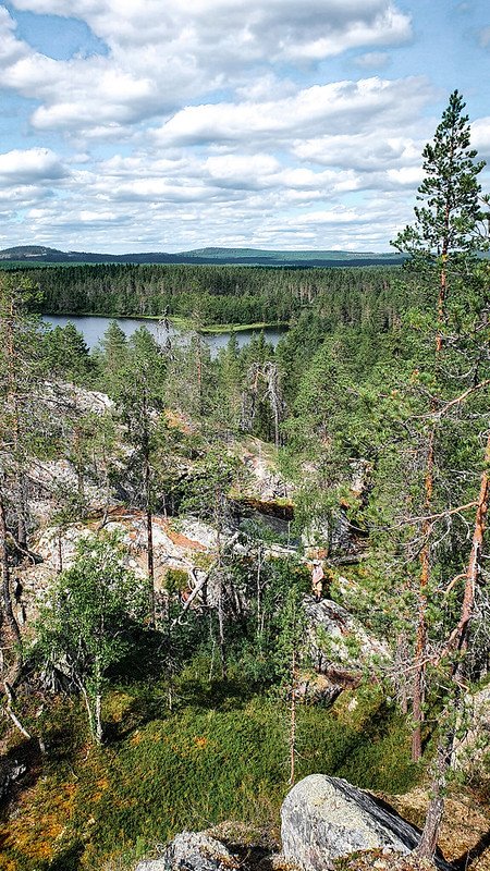Aholanvaaran hiidenkirnut
